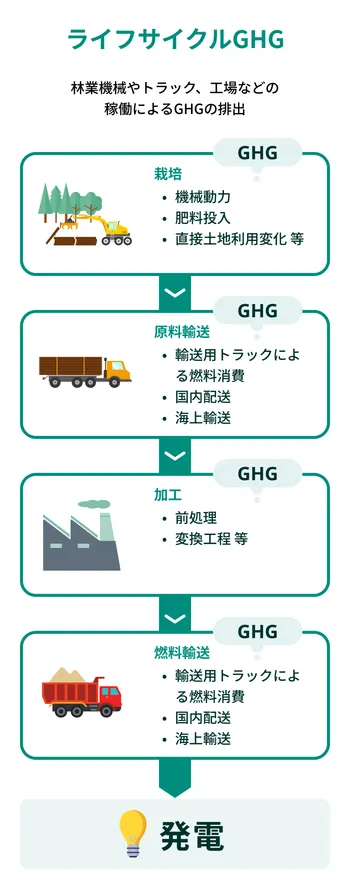 バイオマス発電における栽培、原料輸送、加工、燃料輸送までの各段階で排出されるGHGを可視化した図